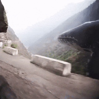 의외로 요즘 사람들이 잘 모르는 동물 | 인스티즈