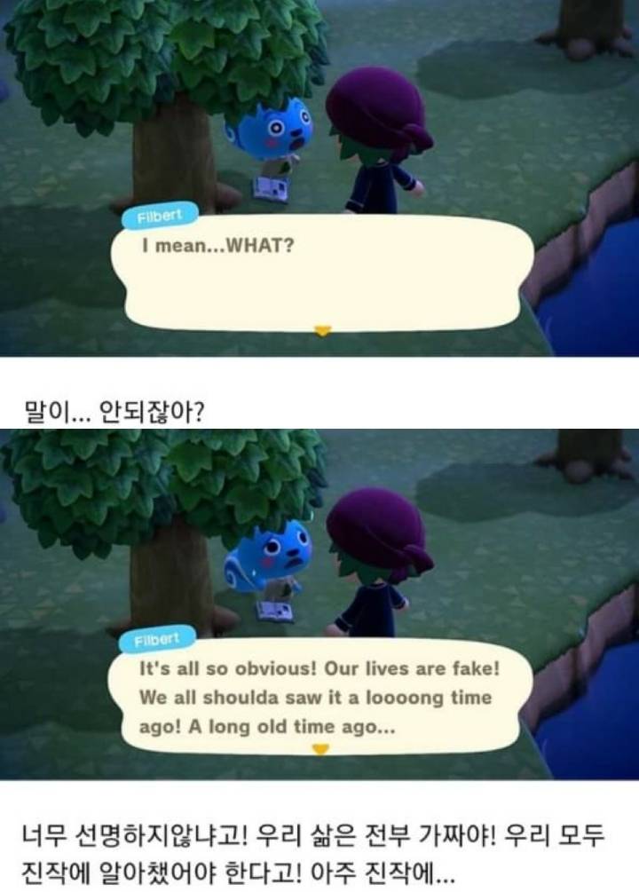 동물의숲 괴담 | 인스티즈