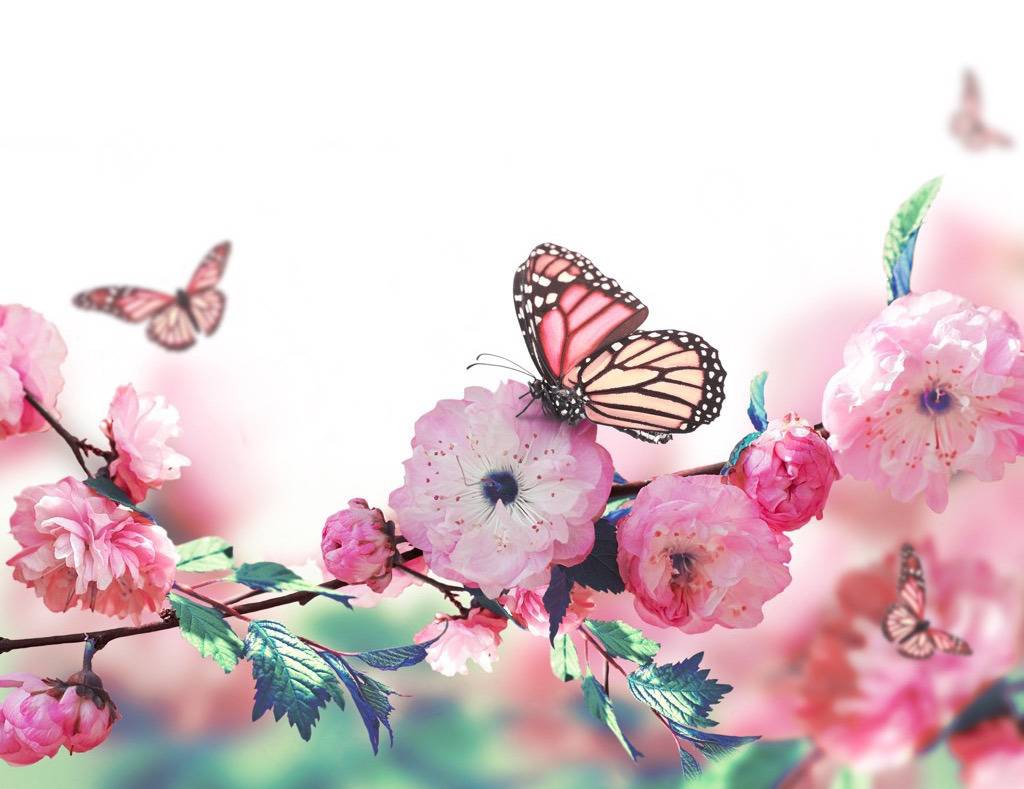 사계절 중 계절 하나 없애버리고 다른 계절 기간을 더 늘릴수 있다면?? | 인스티즈