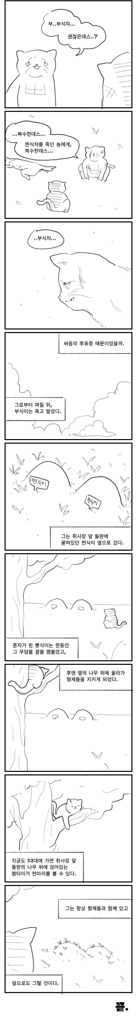 어느 짬타이거 형제들 이야기 | 인스티즈