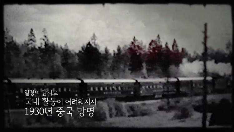 개봉하면 최소 700만은 찍을텐데 왜 아직도 영화 제작을 안 하는지 궁금한 소재 | 인스티즈