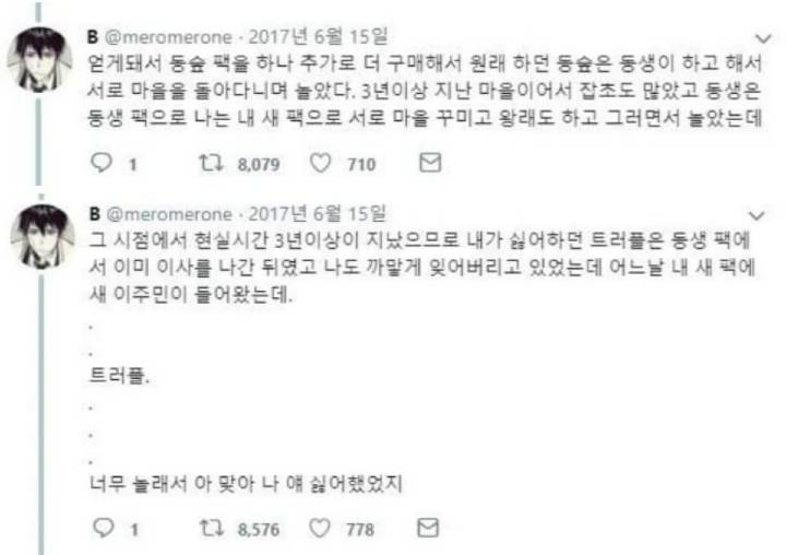 동물의숲 괴담 | 인스티즈