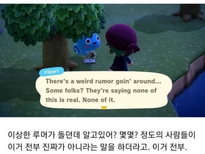 동물의숲 괴담 | 인스티즈