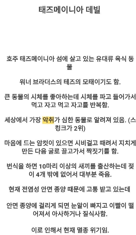 세상에서 악취가 가장 심하다는 동물 JPG | 인스티즈