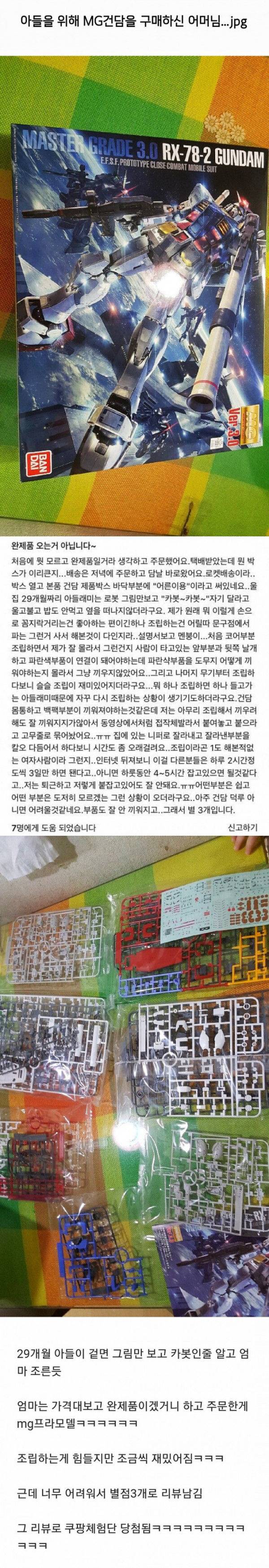 아들이 졸라서 건담사준 엄마.jpg | 인스티즈