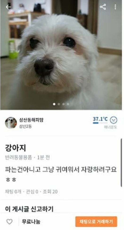 요즘 중고나라보다 재밌는 당근마켓 | 인스티즈