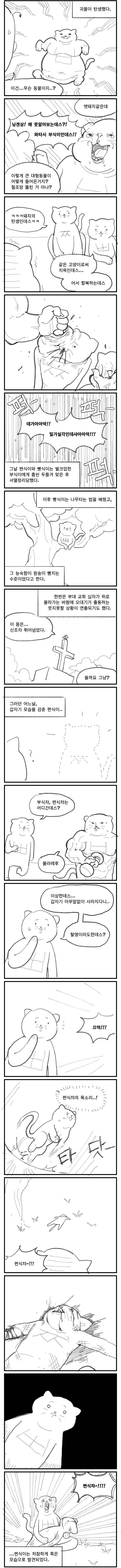 어느 짬타이거 형제들 이야기 | 인스티즈