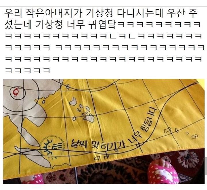 기상청 우산.JPG | 인스티즈