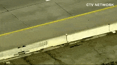 고속도로건너는 오리가족 | 인스티즈