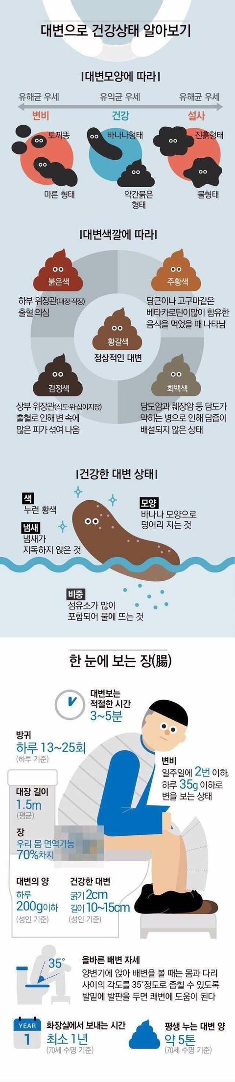 대변으로 알아보는 건강상태 | 인스티즈