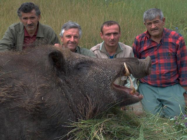 미국의 멧돼지 사냥 투어 | 인스티즈