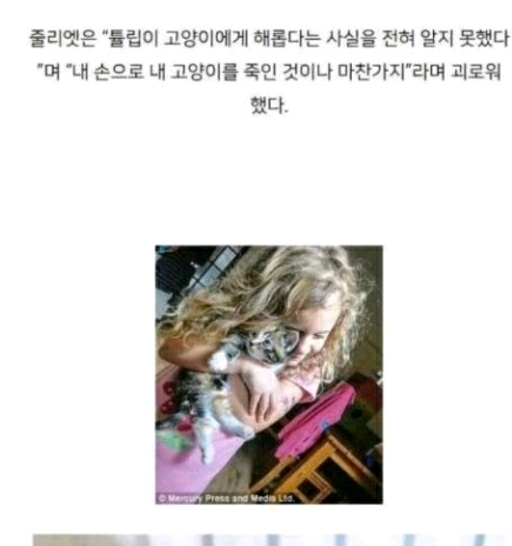 [집사필수] 고양이와 튤립 | 인스티즈