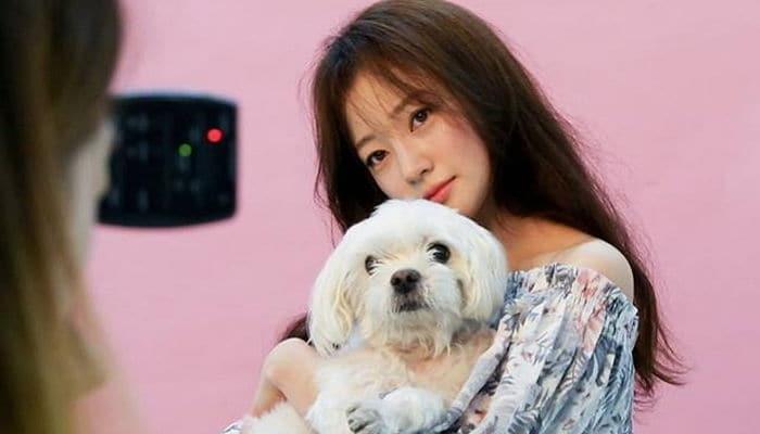 반려동물(유기견,유기묘)을 입양한 여자 연예인들 | 인스티즈