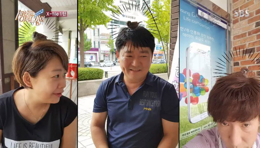 [세상에이런일이] 엄청 충격적이였던 오늘편 사람을 좋아하는 참새 새순이 이야기.jpg | 인스티즈