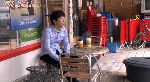 [세상에이런일이] 엄청 충격적이였던 오늘편 사람을 좋아하는 참새 새순이 이야기.jpg | 인스티즈