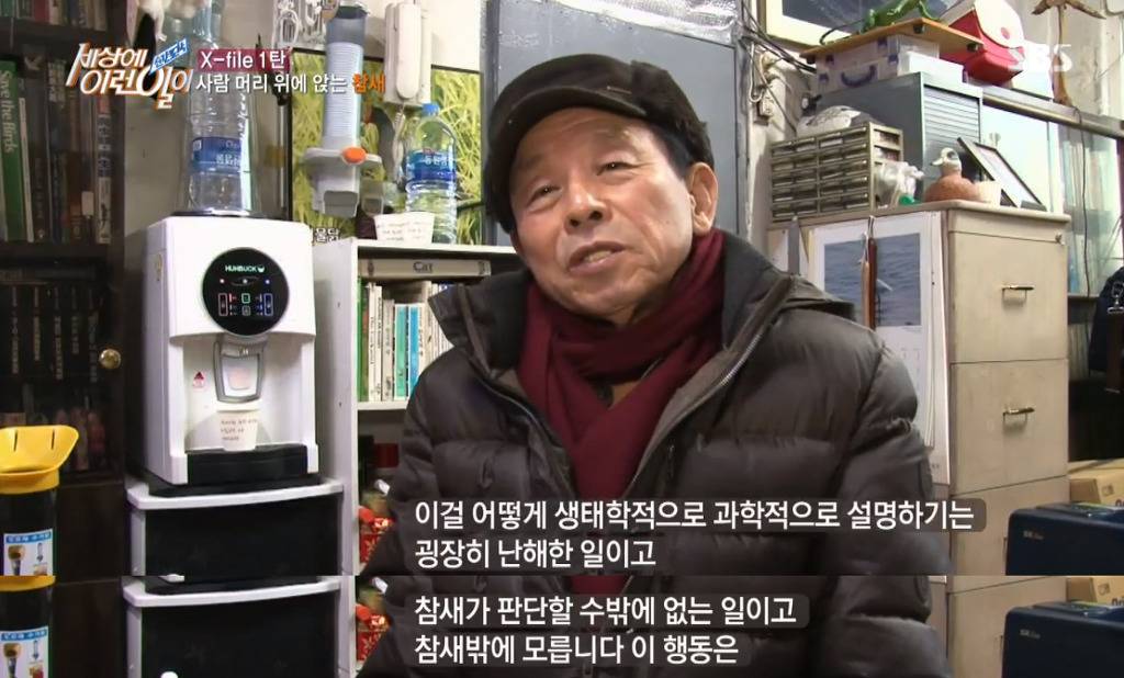 [세상에이런일이] 엄청 충격적이였던 오늘편 사람을 좋아하는 참새 새순이 이야기.jpg | 인스티즈