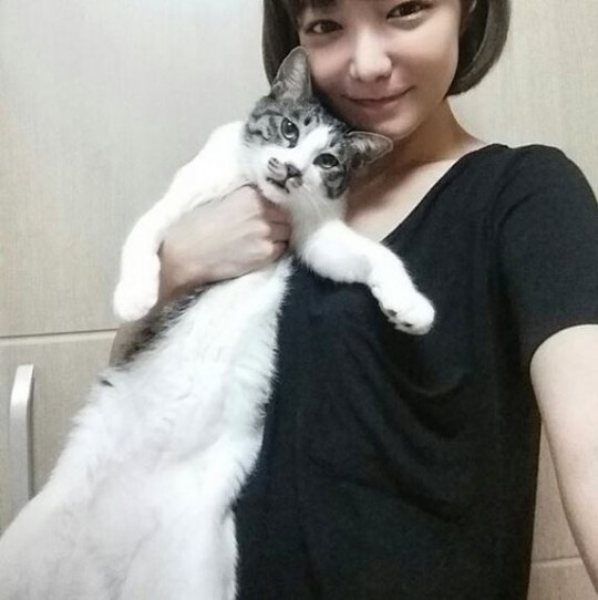 반려동물(유기견,유기묘)을 입양한 여자 연예인들 | 인스티즈