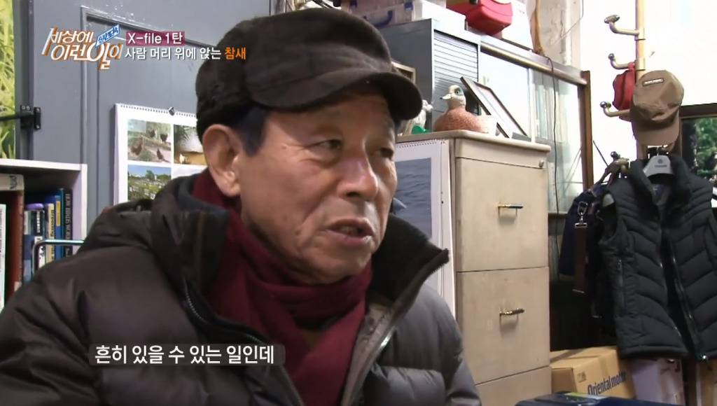 [세상에이런일이] 엄청 충격적이였던 오늘편 사람을 좋아하는 참새 새순이 이야기.jpg | 인스티즈