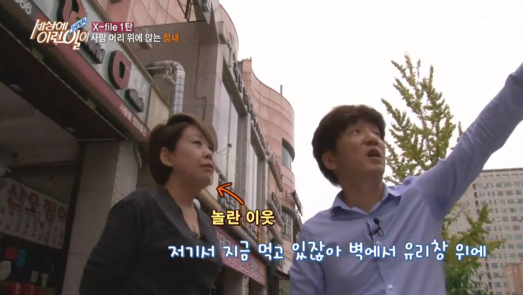 [세상에이런일이] 엄청 충격적이였던 오늘편 사람을 좋아하는 참새 새순이 이야기.jpg | 인스티즈