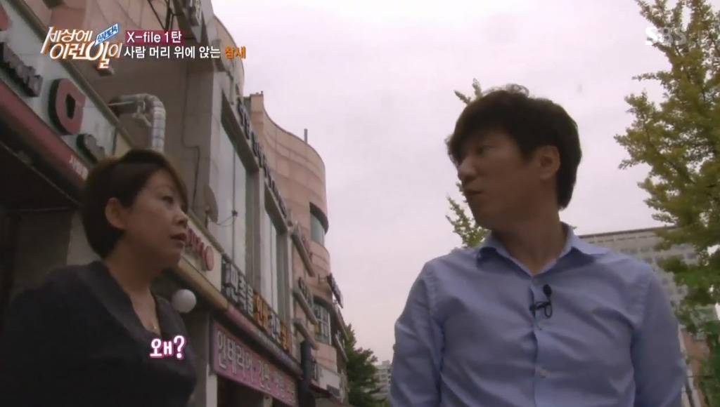 [세상에이런일이] 엄청 충격적이였던 오늘편 사람을 좋아하는 참새 새순이 이야기.jpg | 인스티즈