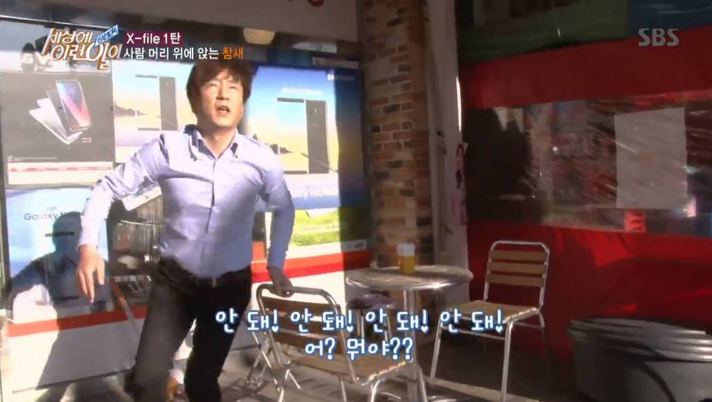 [세상에이런일이] 엄청 충격적이였던 오늘편 사람을 좋아하는 참새 새순이 이야기.jpg | 인스티즈