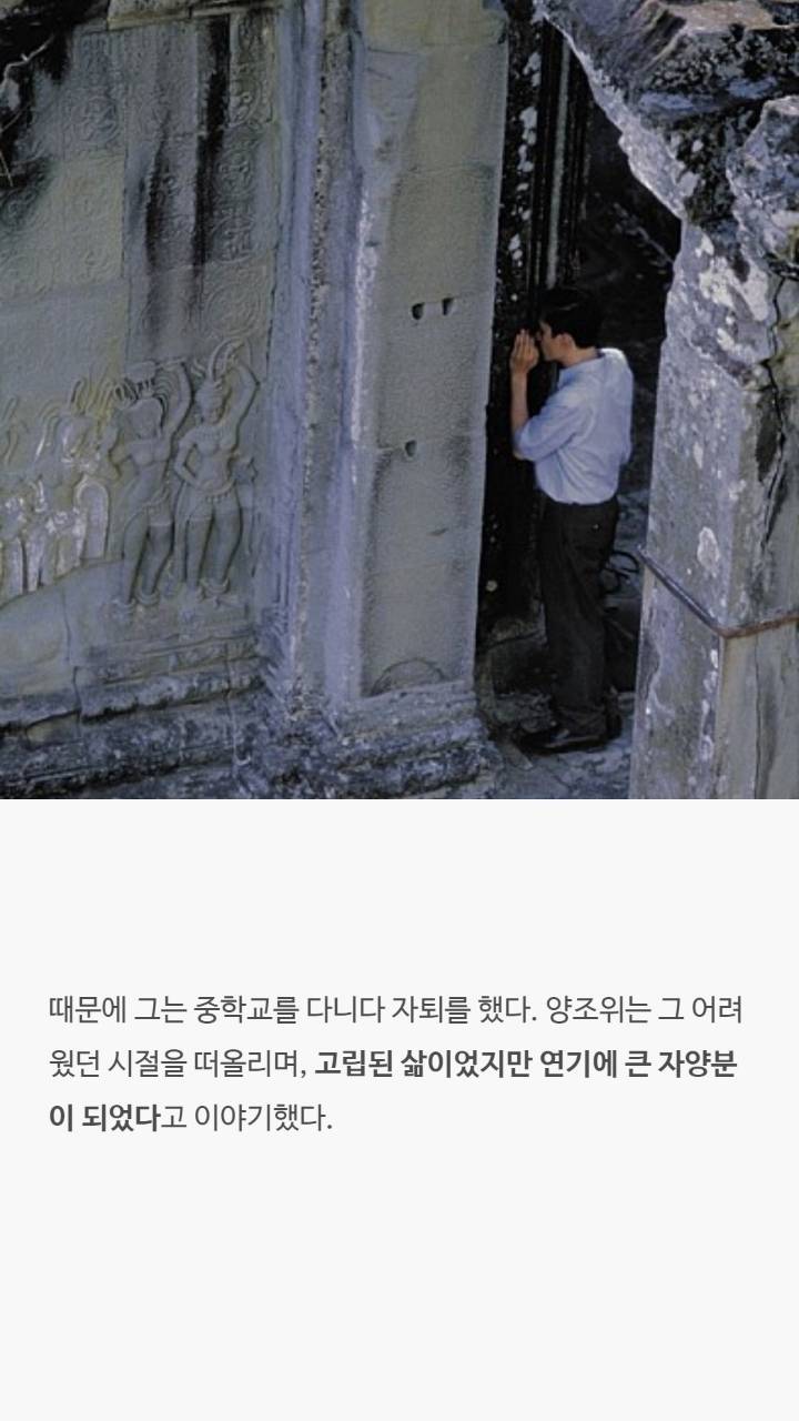 양조위에 대한 사실들 | 인스티즈