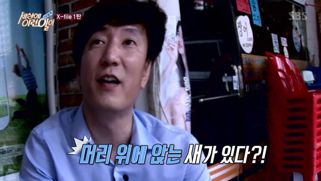 [세상에이런일이] 엄청 충격적이였던 오늘편 사람을 좋아하는 참새 새순이 이야기.jpg | 인스티즈