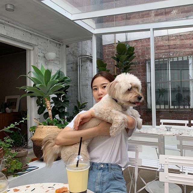 반려동물(유기견,유기묘)을 입양한 여자 연예인들 | 인스티즈