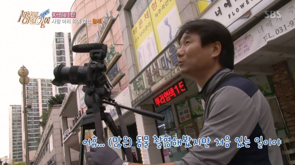 [세상에이런일이] 엄청 충격적이였던 오늘편 사람을 좋아하는 참새 새순이 이야기.jpg | 인스티즈