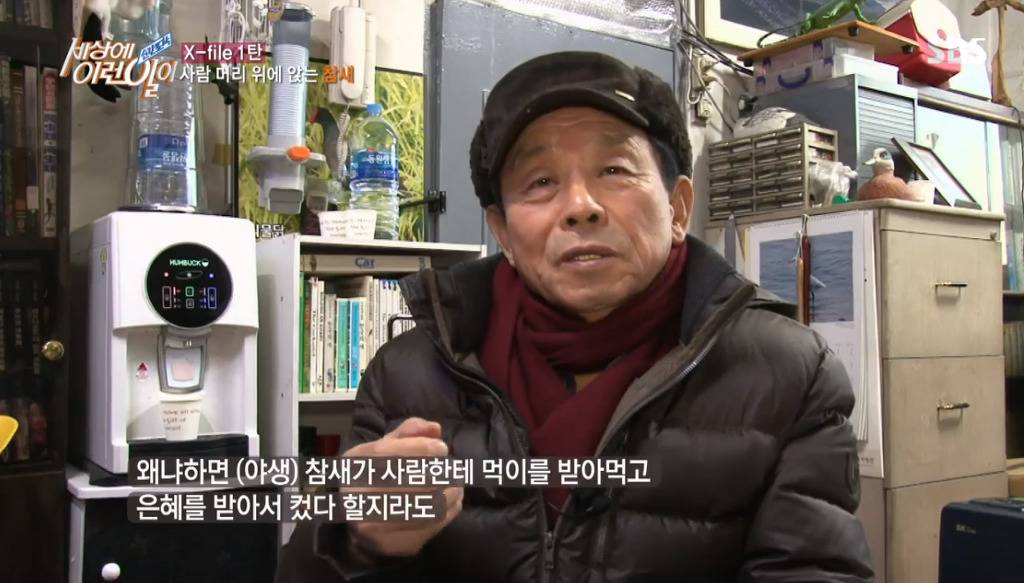 [세상에이런일이] 엄청 충격적이였던 오늘편 사람을 좋아하는 참새 새순이 이야기.jpg | 인스티즈