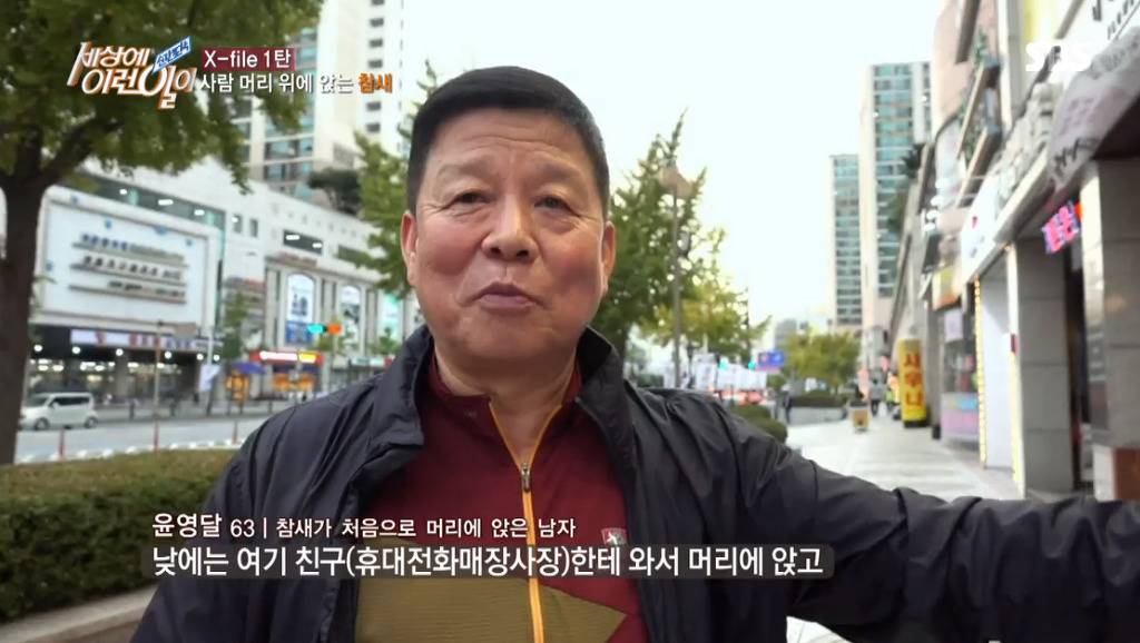 [세상에이런일이] 엄청 충격적이였던 오늘편 사람을 좋아하는 참새 새순이 이야기.jpg | 인스티즈