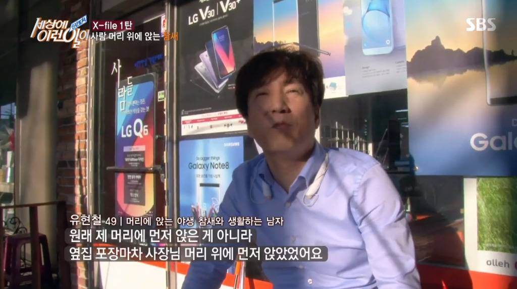 [세상에이런일이] 엄청 충격적이였던 오늘편 사람을 좋아하는 참새 새순이 이야기.jpg | 인스티즈