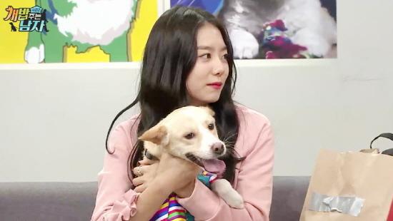 반려동물(유기견,유기묘)을 입양한 여자 연예인들 | 인스티즈