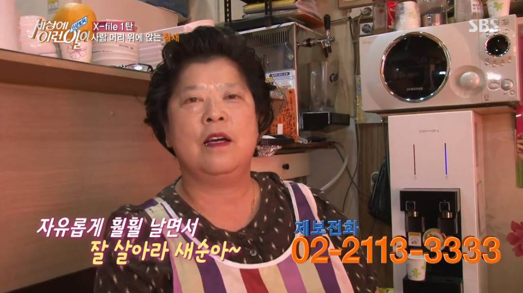 [세상에이런일이] 엄청 충격적이였던 오늘편 사람을 좋아하는 참새 새순이 이야기.jpg | 인스티즈