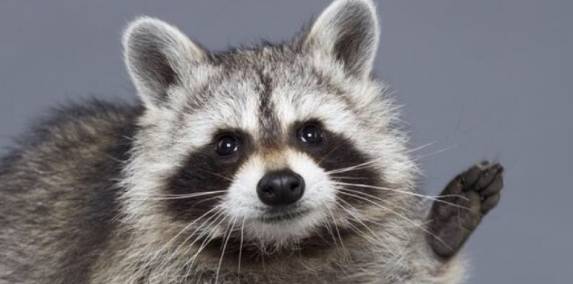 요새 날씨가 선선해졌는데 그래도 아직 더운 이유가 뭘까요? | 인스티즈