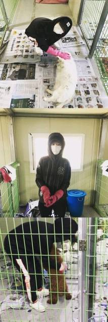 반려동물(유기견,유기묘)을 입양한 여자 연예인들 | 인스티즈