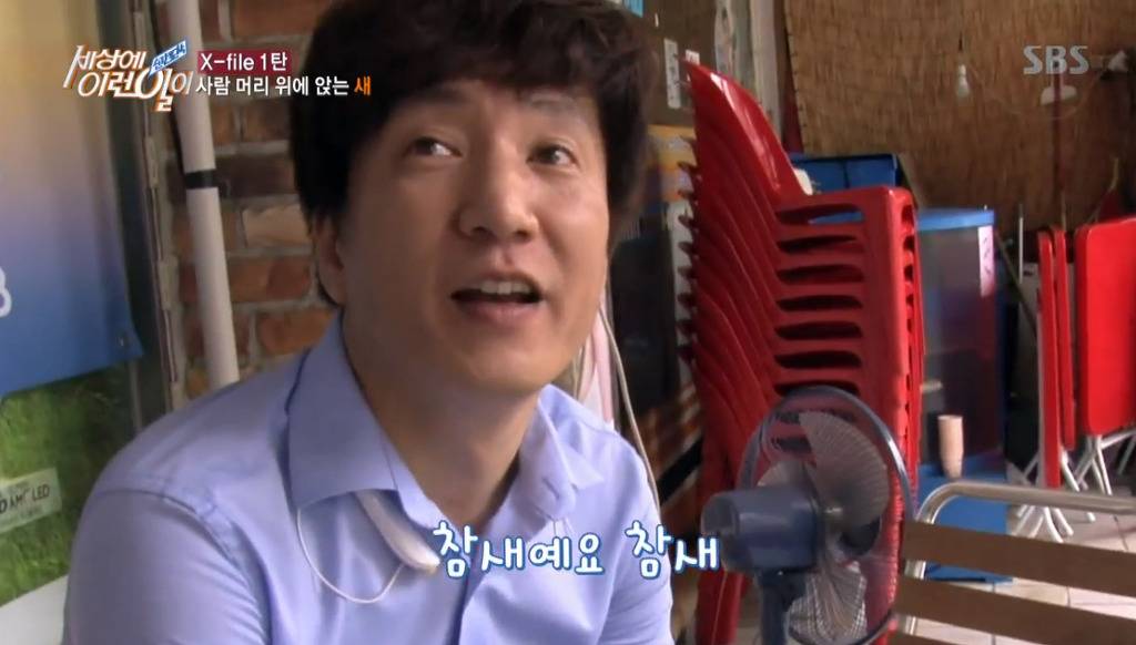 [세상에이런일이] 엄청 충격적이였던 오늘편 사람을 좋아하는 참새 새순이 이야기.jpg | 인스티즈