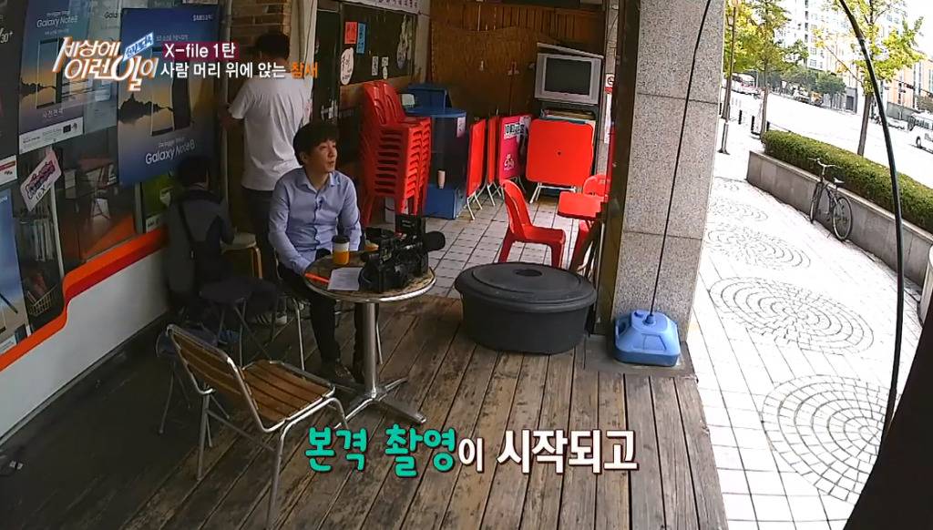 [세상에이런일이] 엄청 충격적이였던 오늘편 사람을 좋아하는 참새 새순이 이야기.jpg | 인스티즈