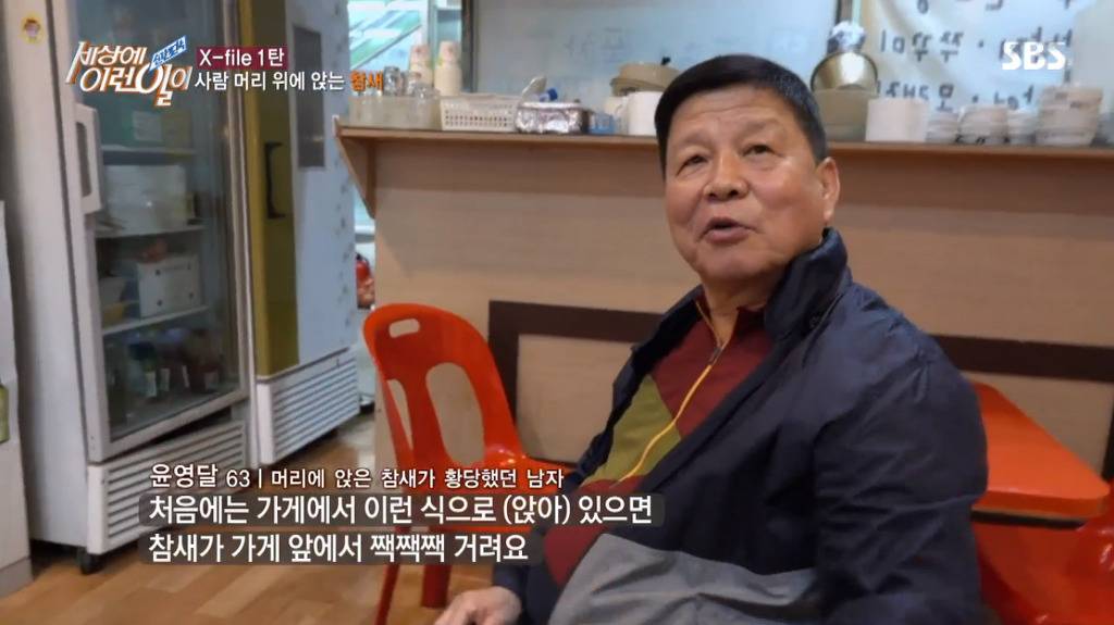 [세상에이런일이] 엄청 충격적이였던 오늘편 사람을 좋아하는 참새 새순이 이야기.jpg | 인스티즈