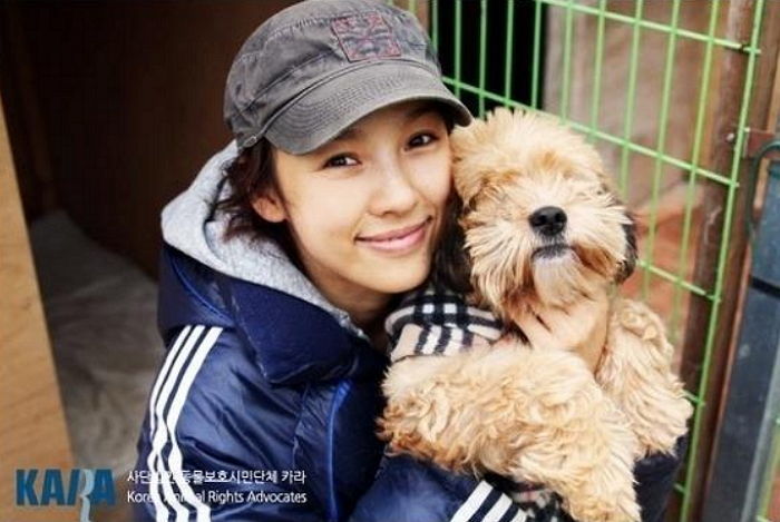 반려동물(유기견,유기묘)을 입양한 여자 연예인들 | 인스티즈