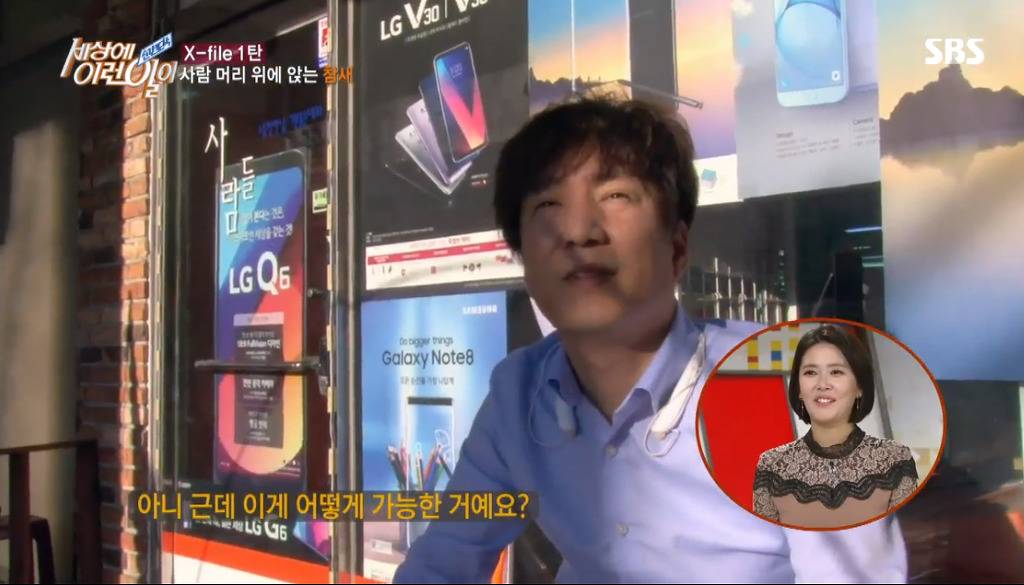 [세상에이런일이] 엄청 충격적이였던 오늘편 사람을 좋아하는 참새 새순이 이야기.jpg | 인스티즈