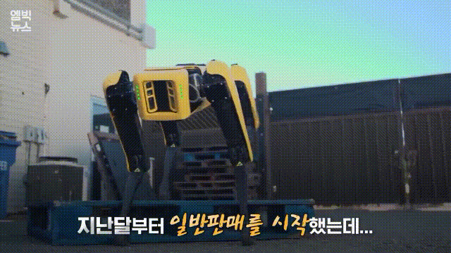 로봇개 스폿, 미국서 9000만원에 판매 시작 | 인스티즈