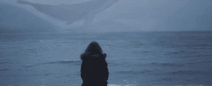 의외로 요즘 사람들이 잘 모르는 동물 | 인스티즈