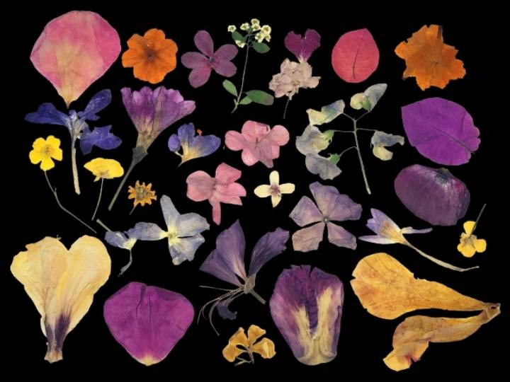 20대백수 검사사칭 레전드.jpg | 인스티즈