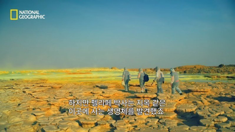 댈롤 화산: 지옥과 같은 이곳에 사는 단 하나의 생명체 | 인스티즈