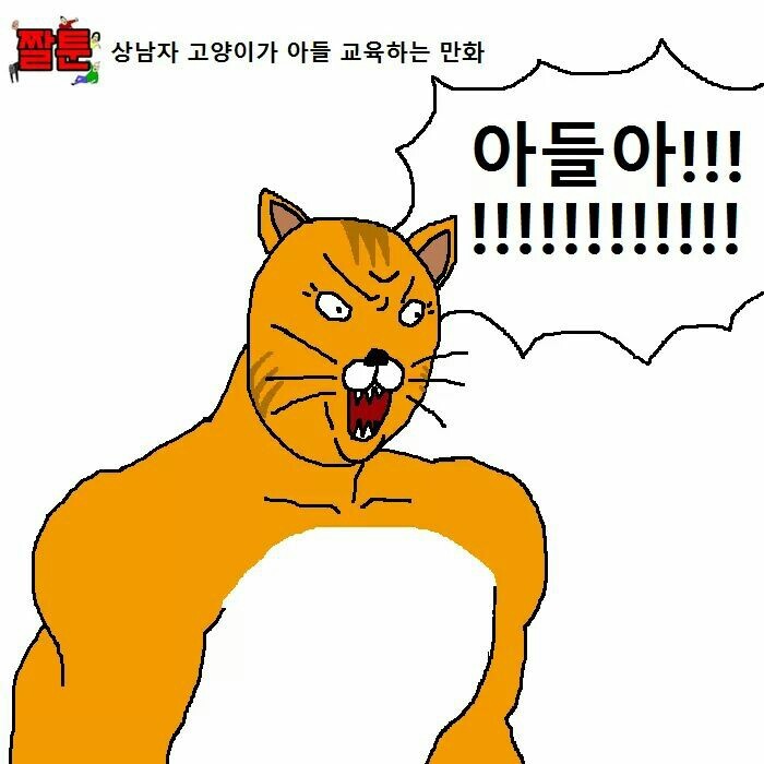 상남자 고양이가 아들 교육하는 만화 | 인스티즈