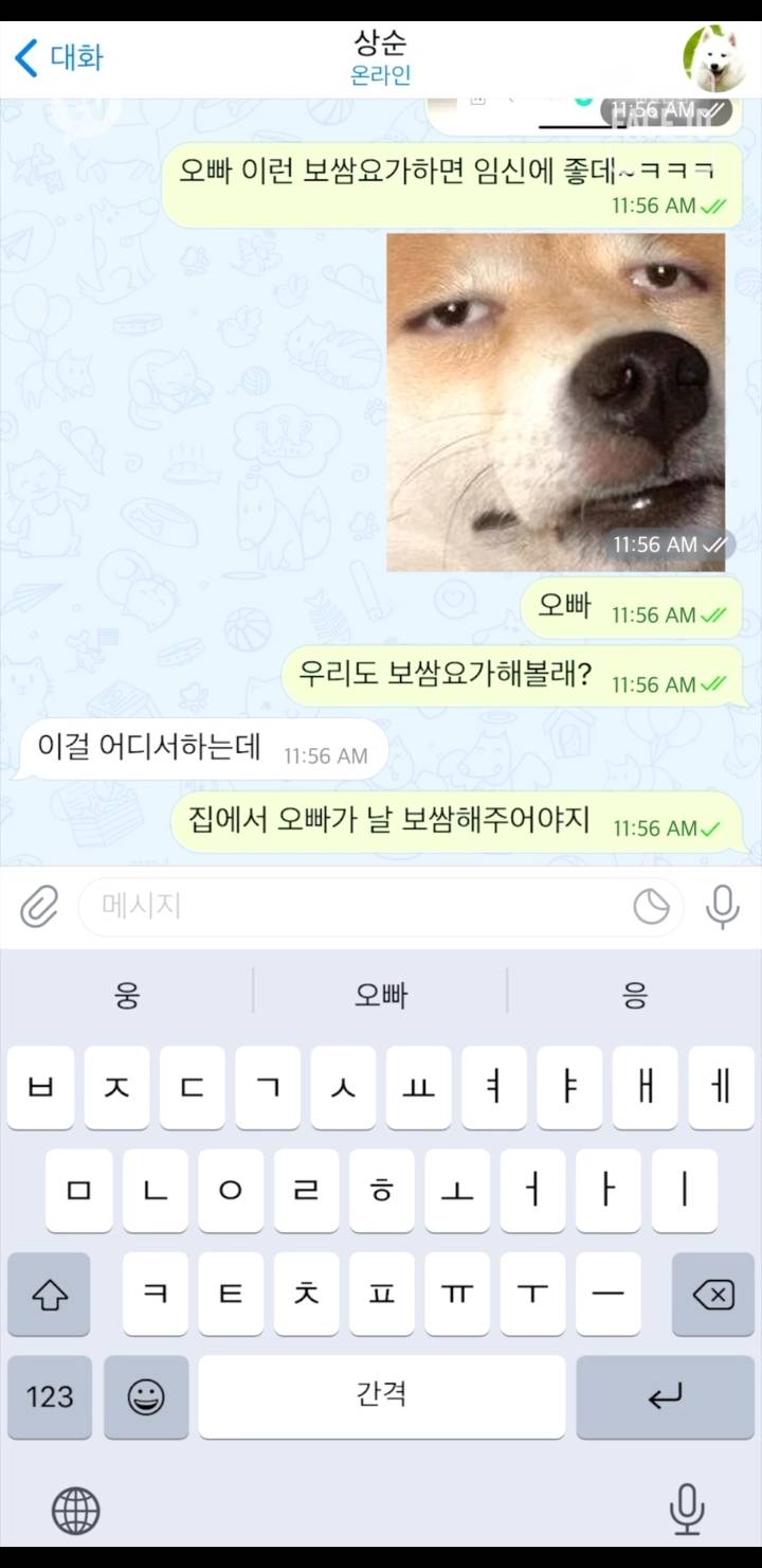거사를 위해 많은 준비를 하고 있는 이효리.jpg | 인스티즈