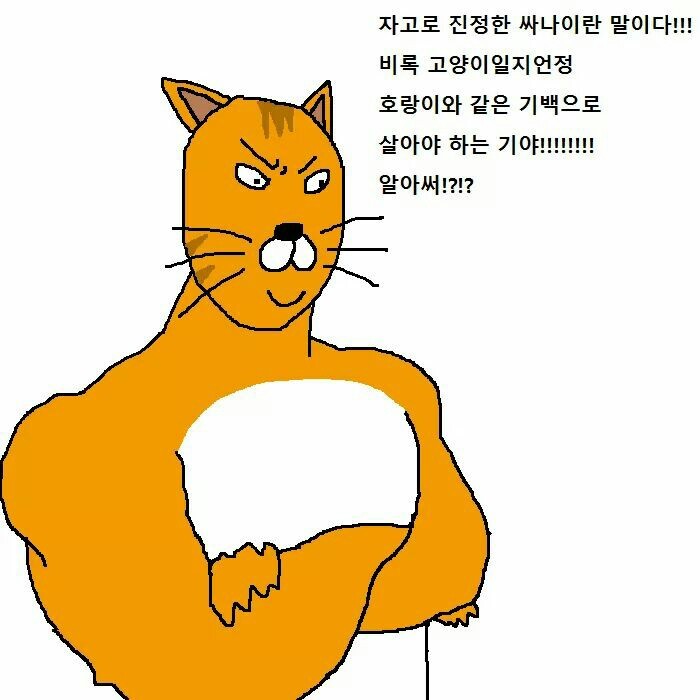 상남자 고양이가 아들 교육하는 만화 | 인스티즈