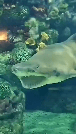 예능 찍다가 진심으로 지친 유재석 | 인스티즈