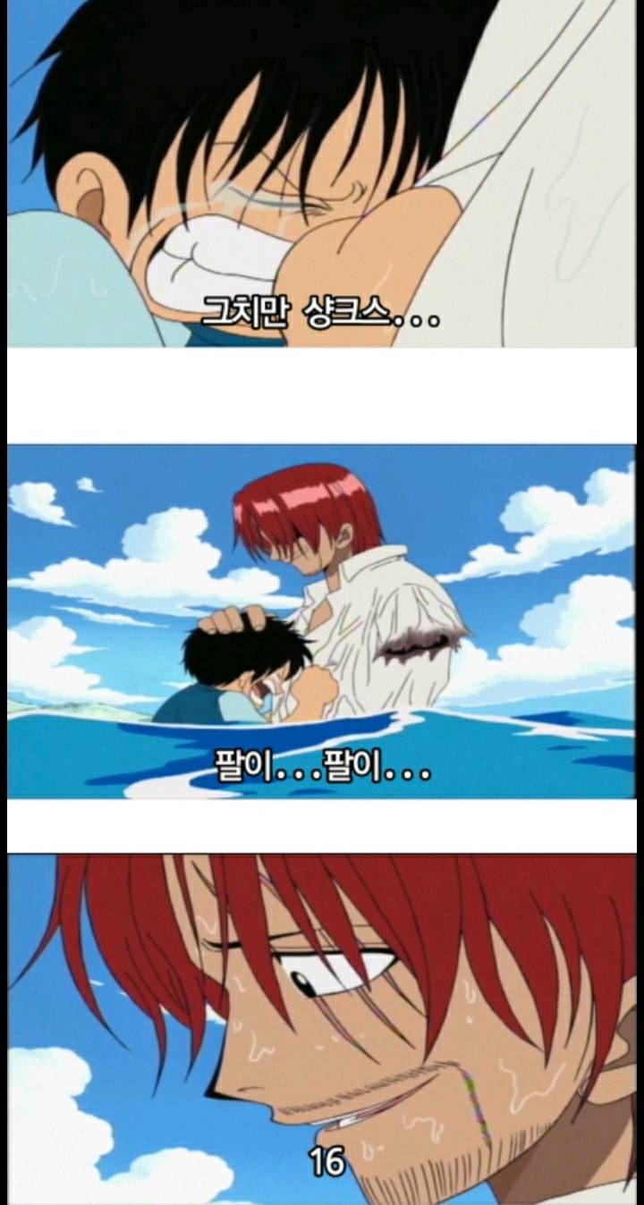 팔이 없지만 수학은 잘하는 샹크스 | 인스티즈